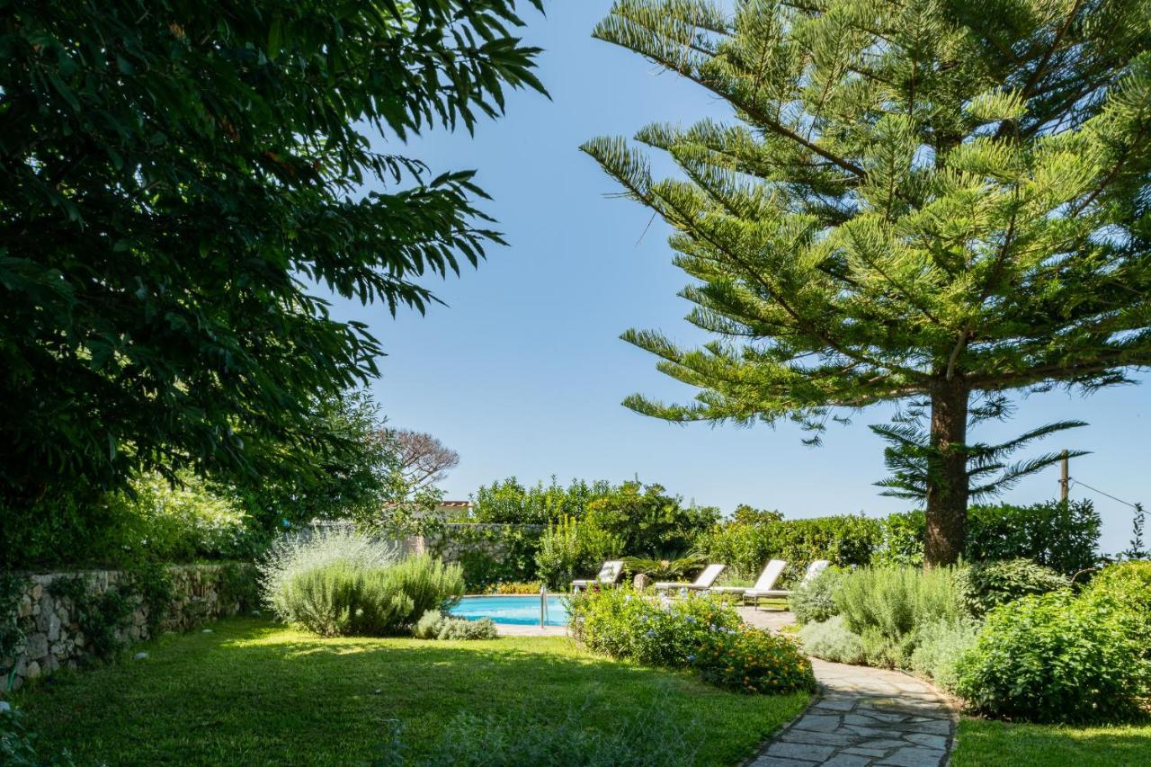 Villa Gli Ulivi Anacapri (Isola di Capri) Exterior foto